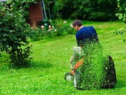 man doing lawn trimming